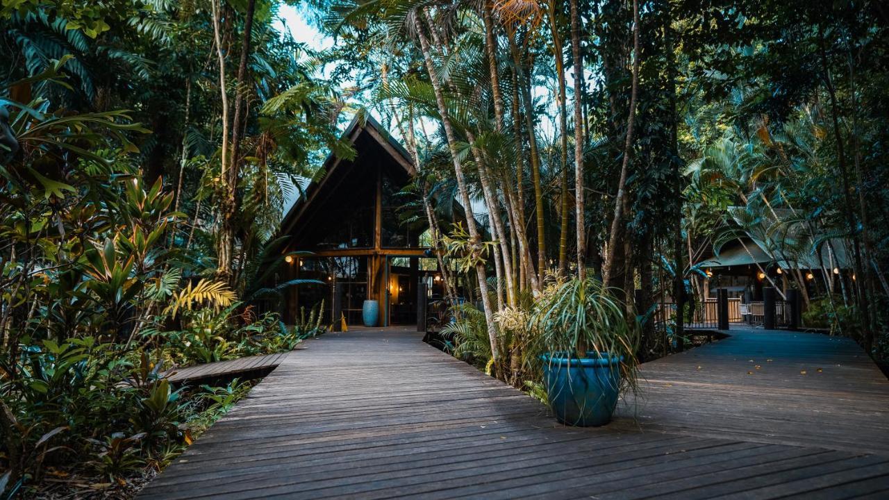 Ferntree Rainforest Lodge Cape Tribulation Kültér fotó