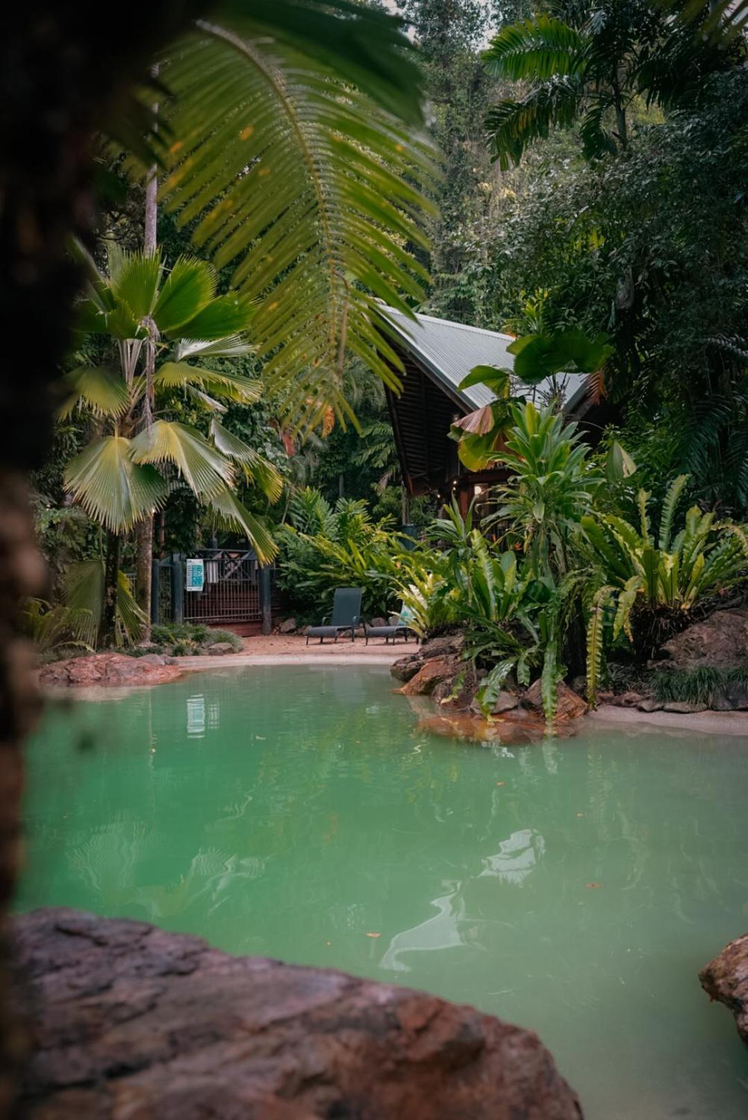 Ferntree Rainforest Lodge Cape Tribulation Kültér fotó