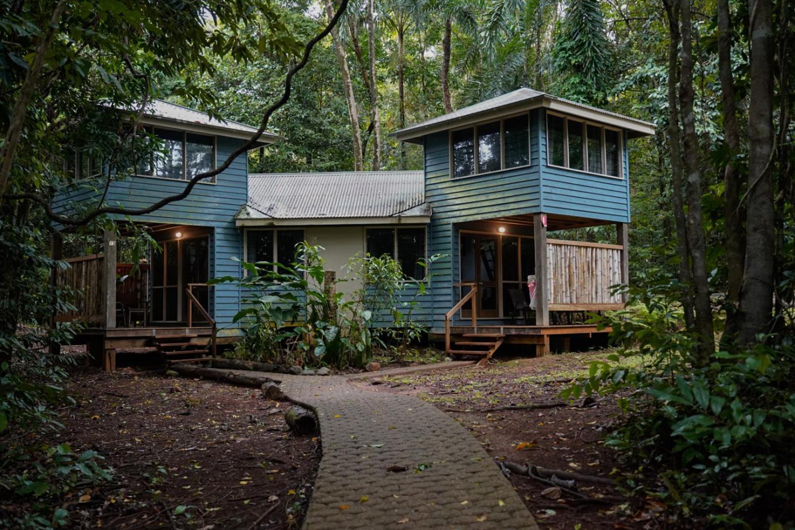 Ferntree Rainforest Lodge Cape Tribulation Kültér fotó