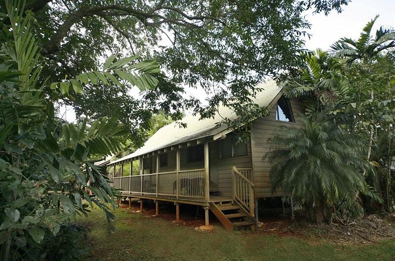 Ferntree Rainforest Lodge Cape Tribulation Kültér fotó